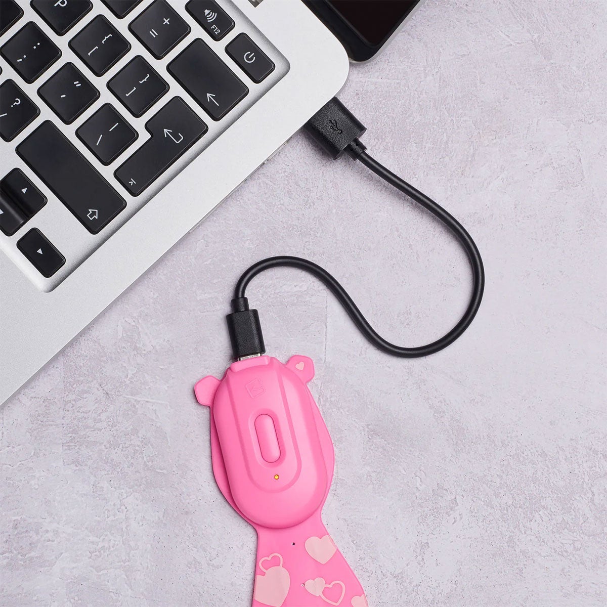 Boklys Flexilight Rechargeable Pals Bear