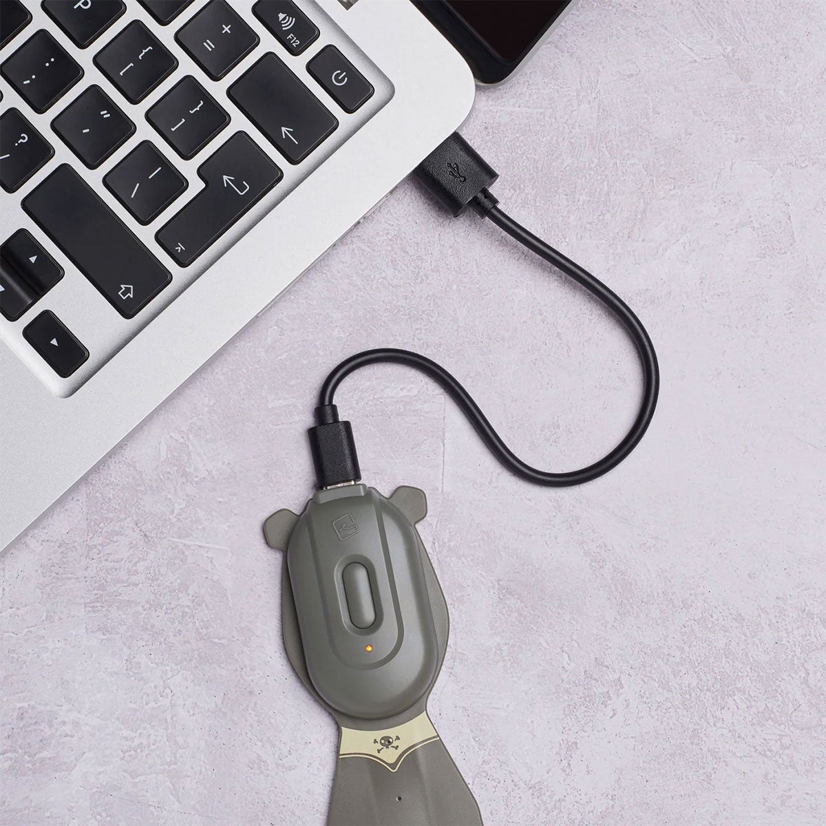 Flexilight Rechargeable Pals Pirate