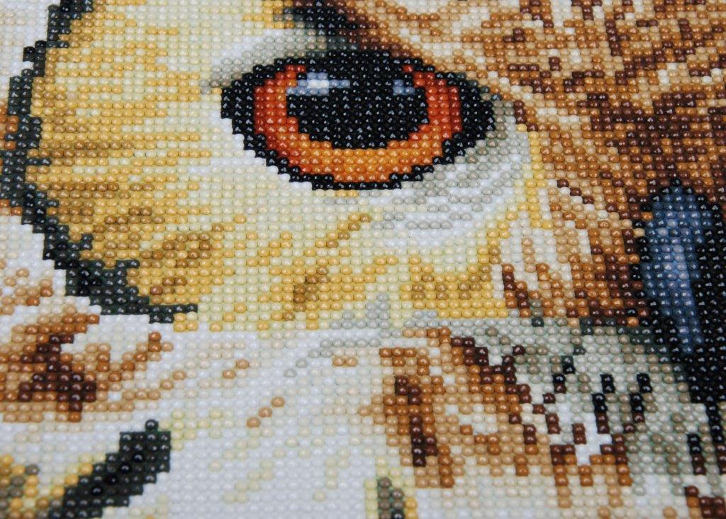 Hobbysett Diamond painting Ugle