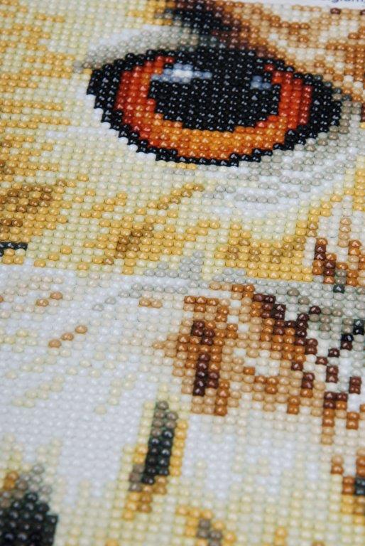 Hobbysett Diamond painting Ugle