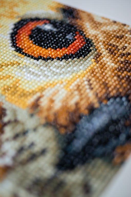 Hobbysett Diamond painting Ugle