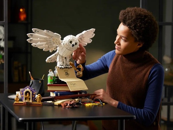 Lego Samlerutgave m/kjente Galtvort-figurer 76391