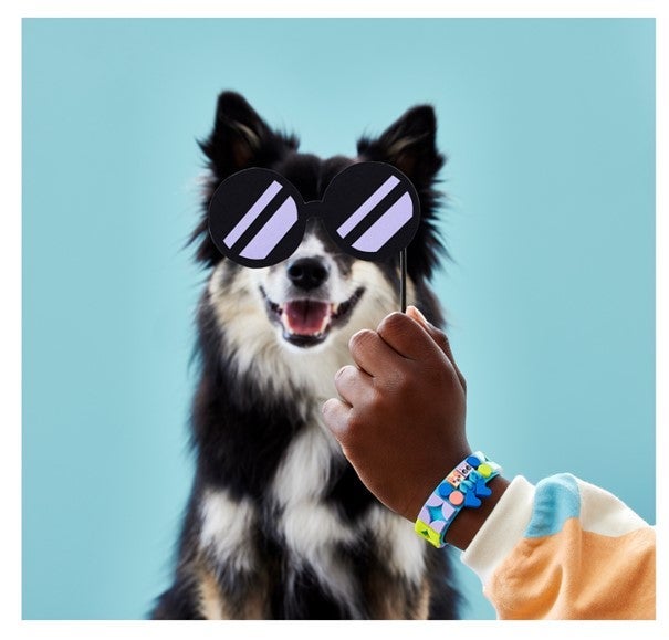 Lego Kjæledyrarmbånd 41801