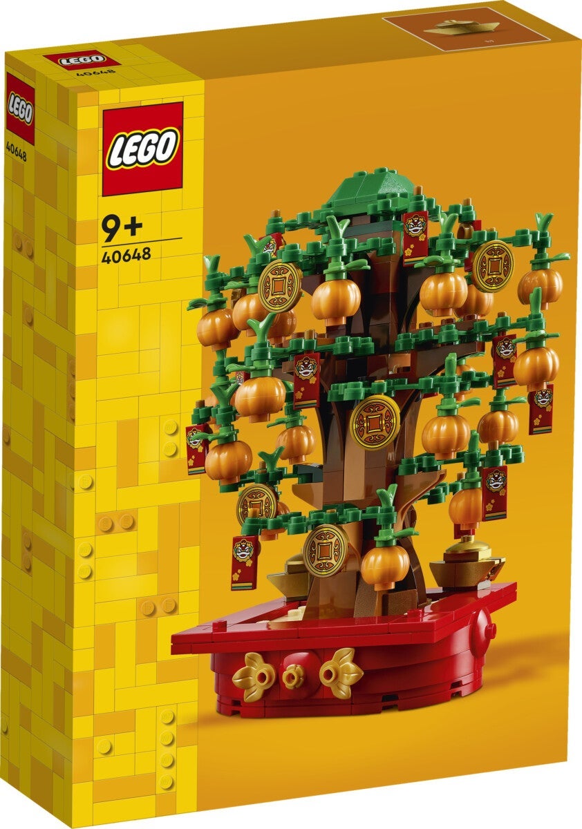 Lego Pengetre 40648