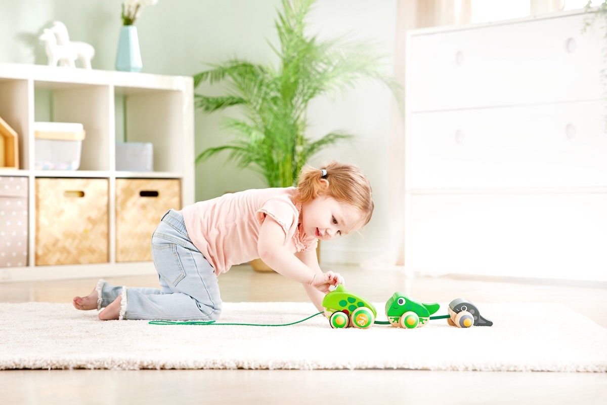 Hape Pull Along Frog Family