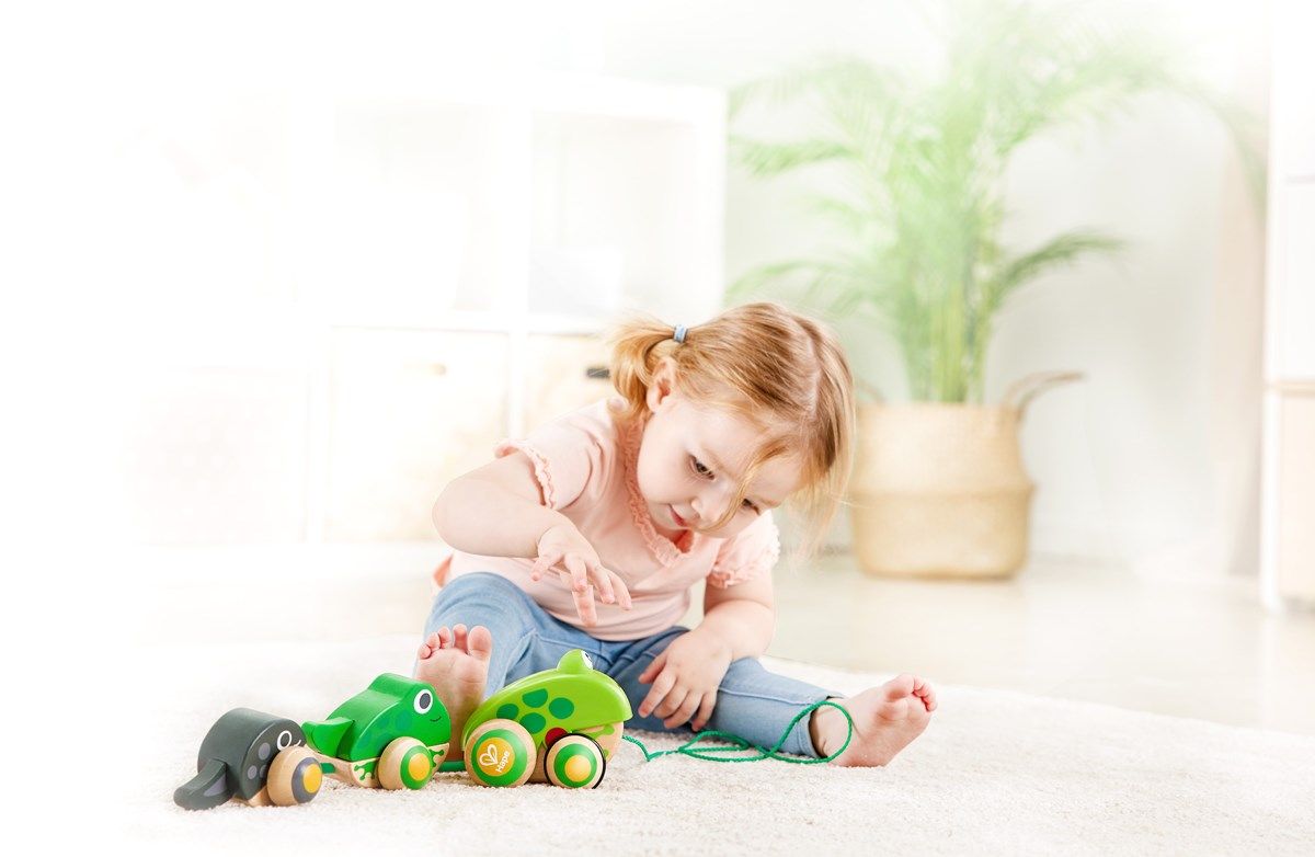 Hape Pull Along Frog Family