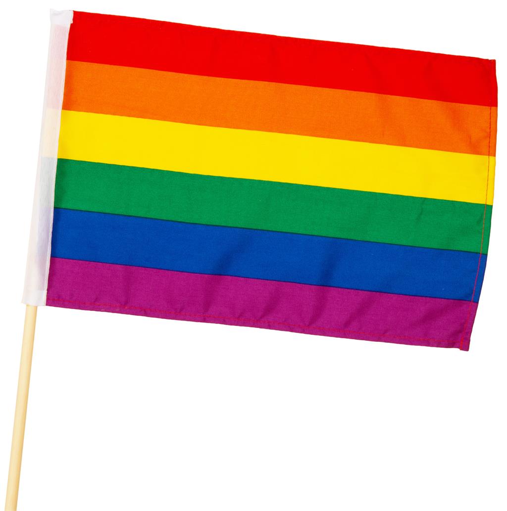 Flagg Pride stoff 20x30cm pinne 55cm