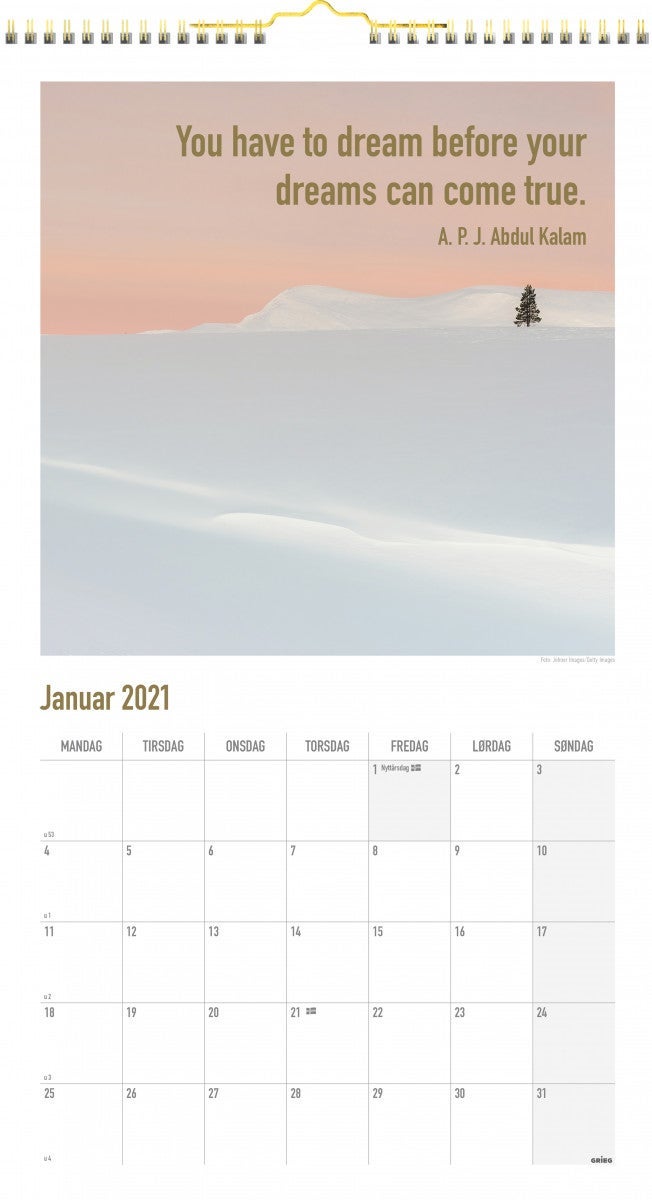 Veggkalender 2021 Dreamdo Måned