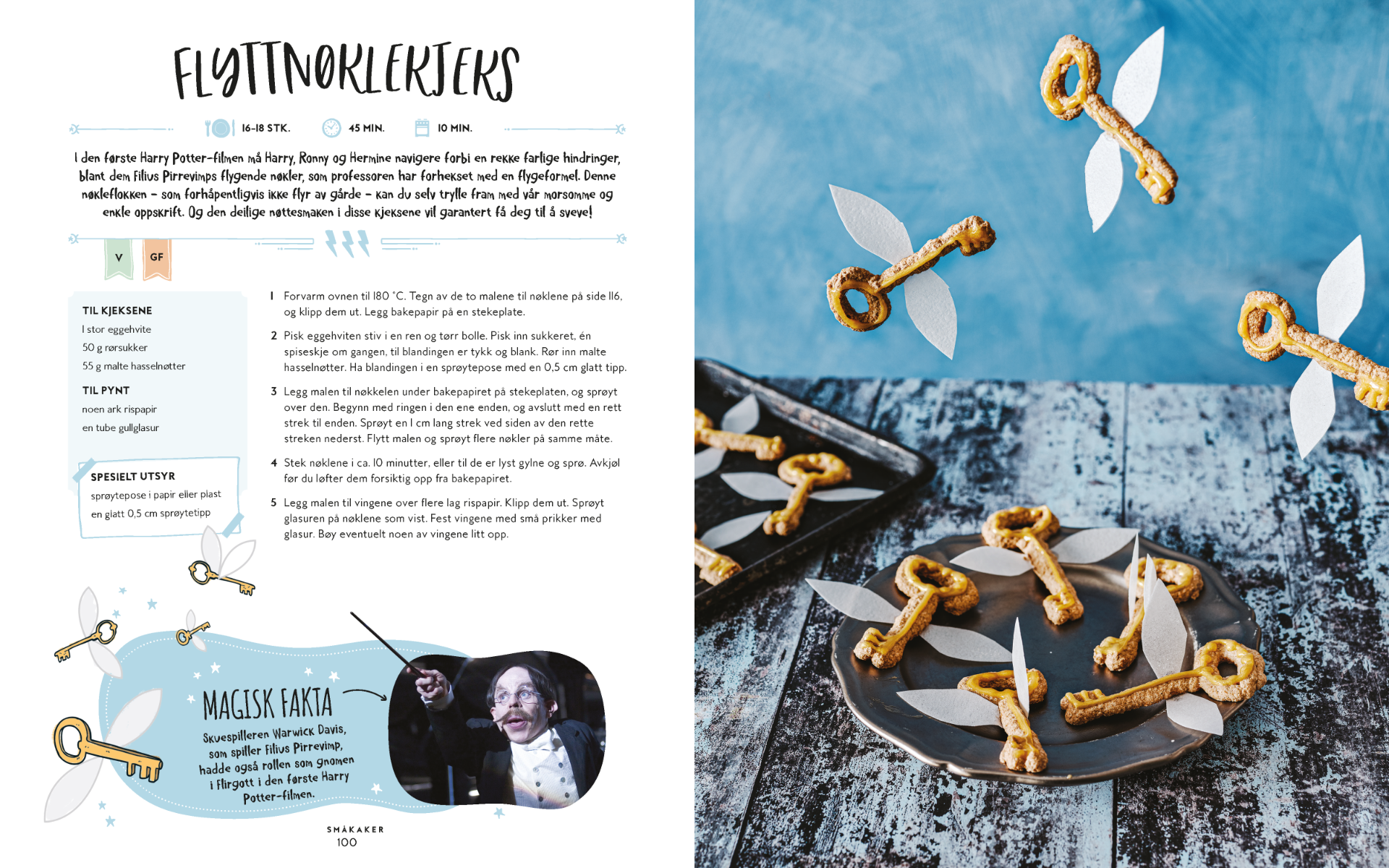 Den offisielle Harry Potter bakeboken