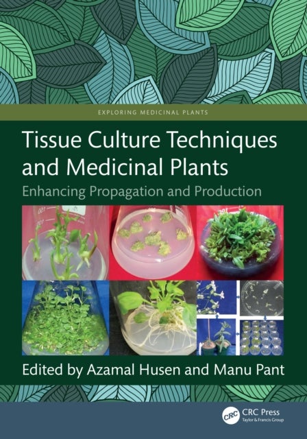 Tissue Culture Techniques and Medicinal Plants - Enhancing Propagation and Production