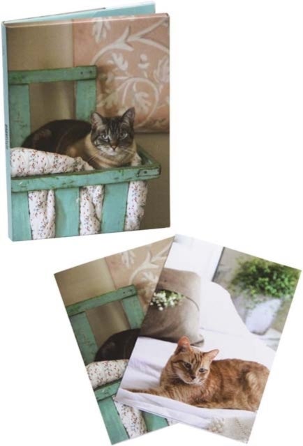 Kortmappe Cats Wallet notecards