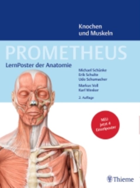 Prometheus Anatomie