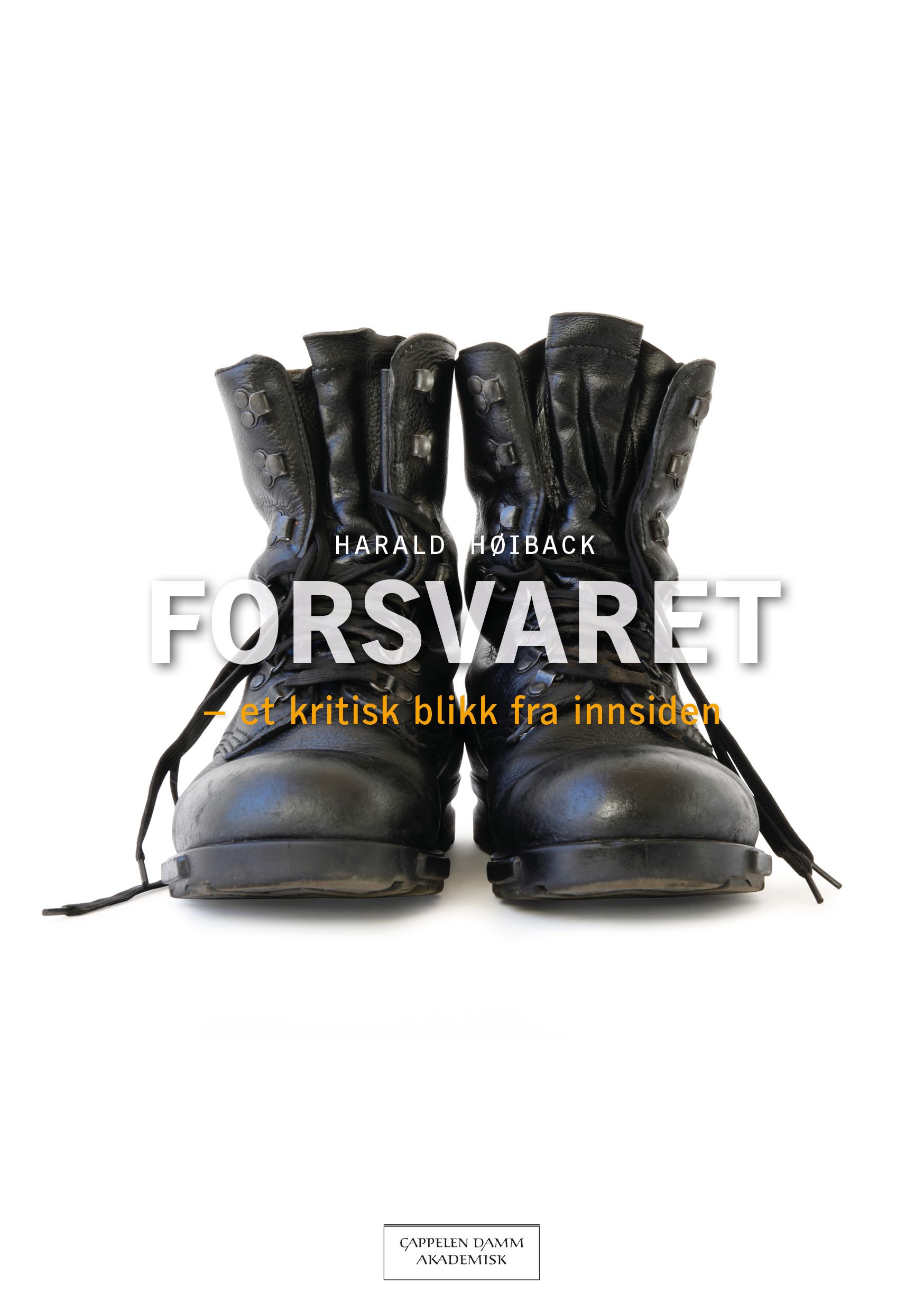 Forsvaret - et kritisk blikk fra innsiden