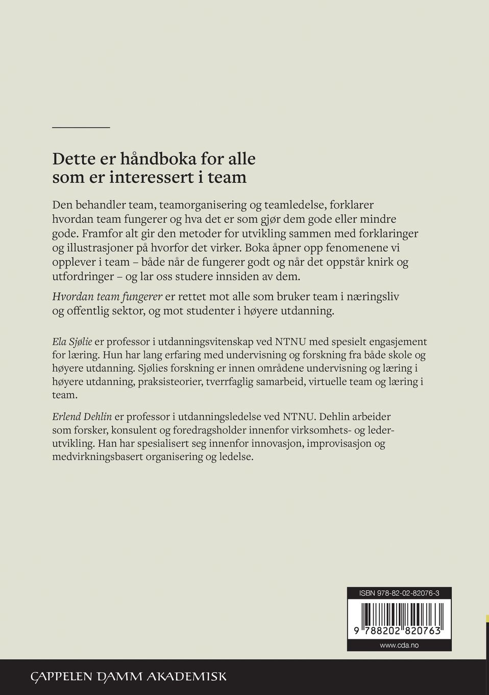 Hvordan team fungerer