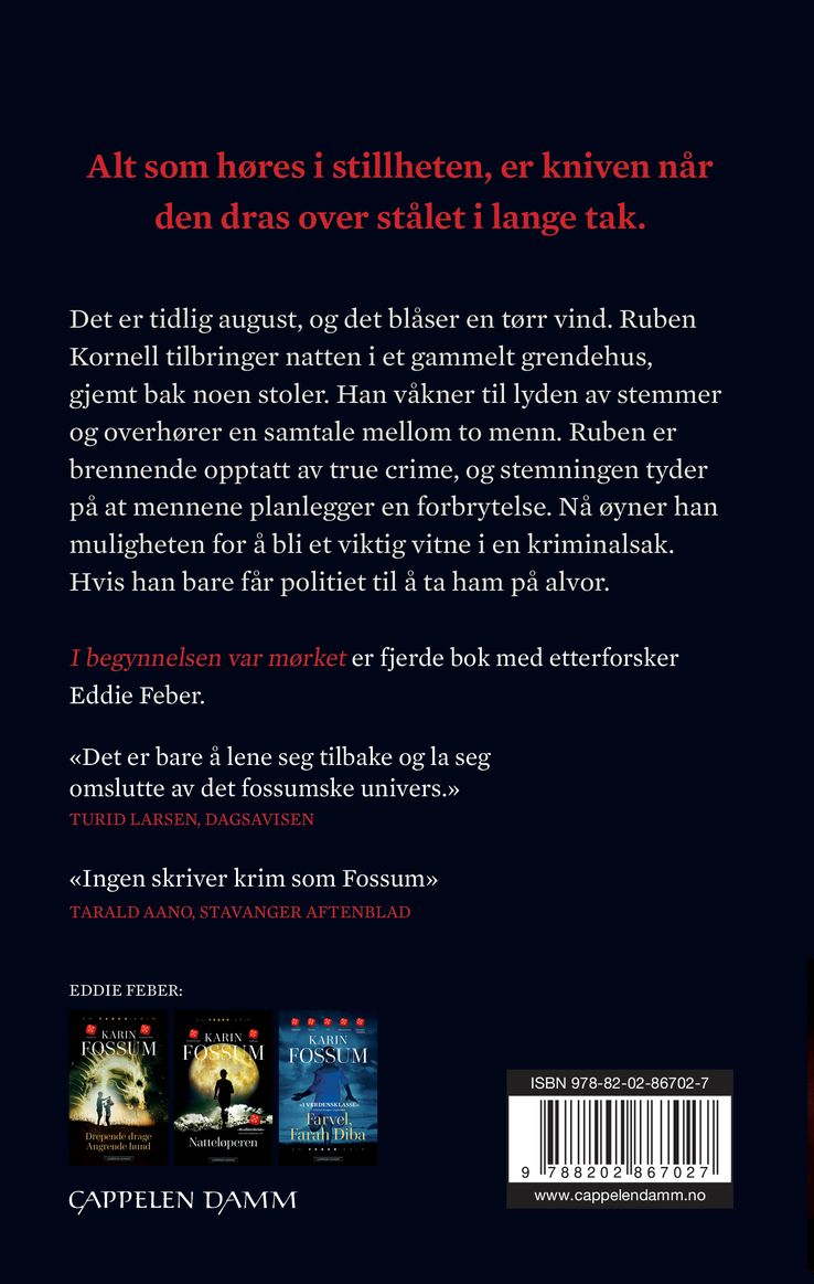I begynnelsen var mørket