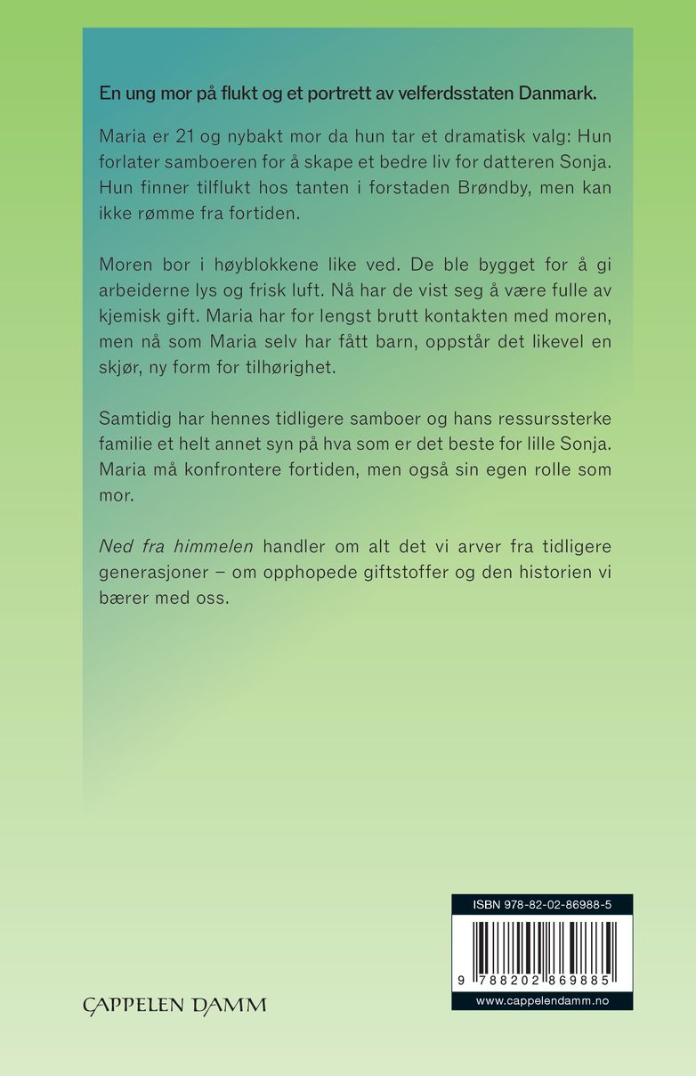 Ned fra himmelen