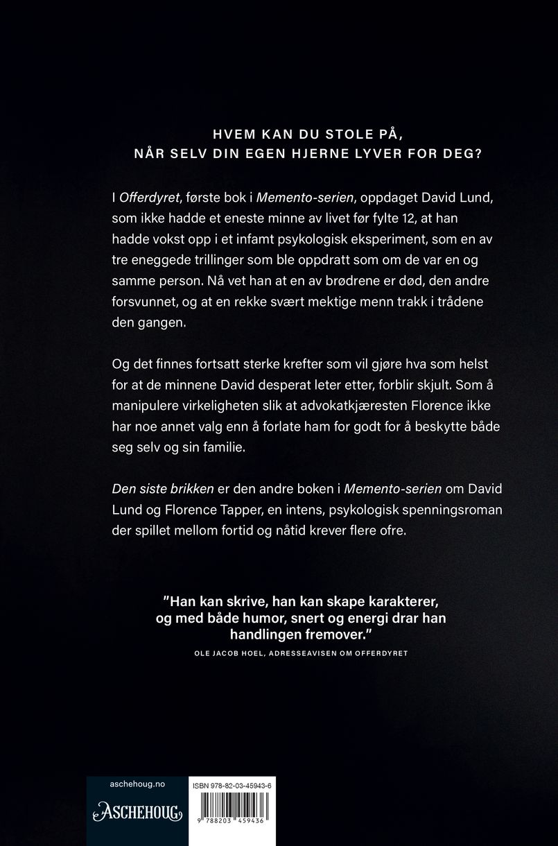 Den siste brikken