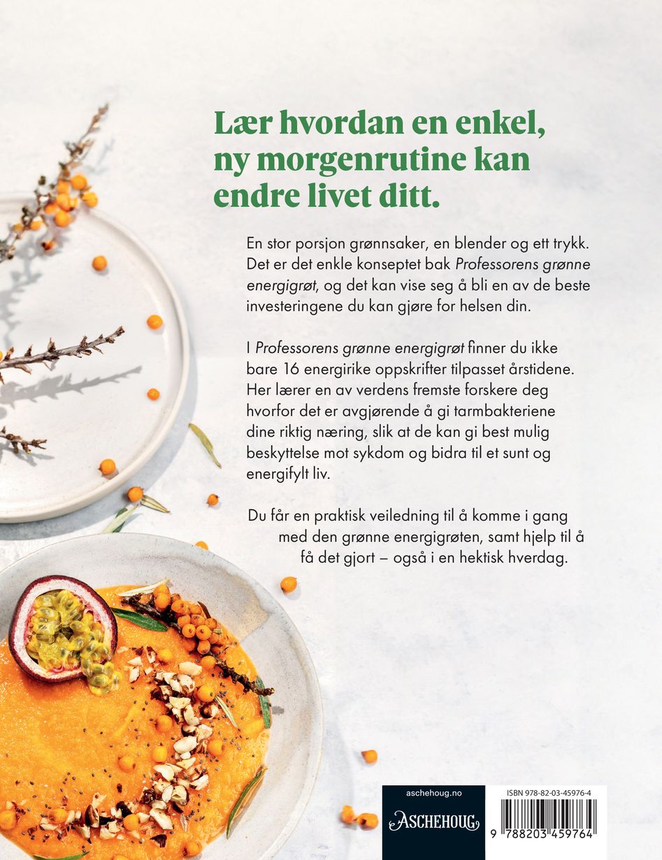 Professorens grønne energigrøt