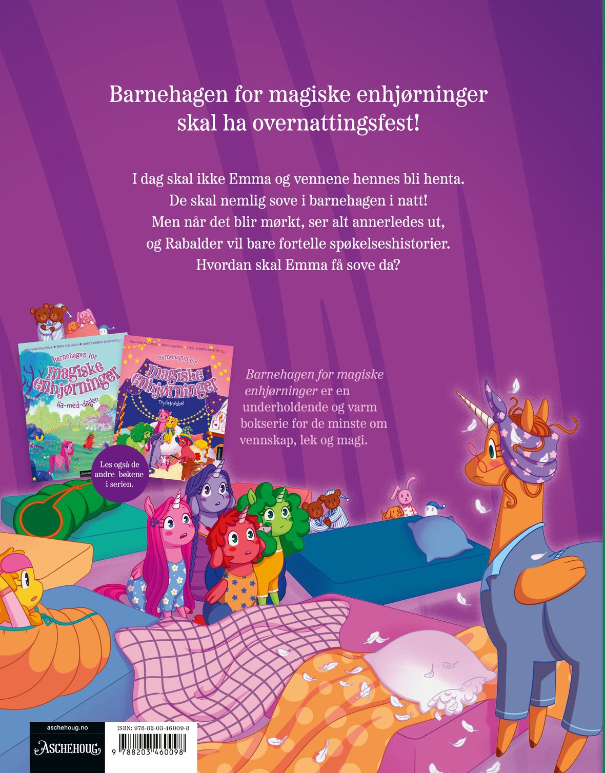 Overnattingsfesten