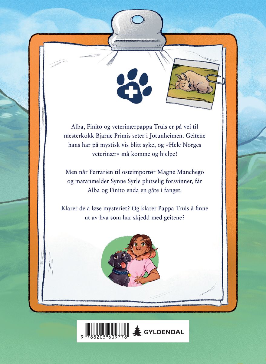 Mysteriet i Jotunheimen