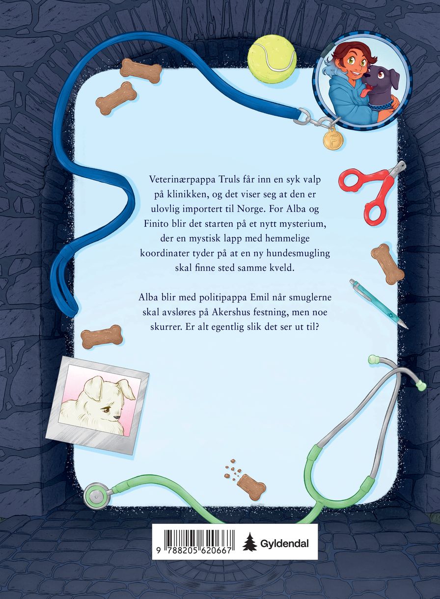 Mysteriet med den syke valpen