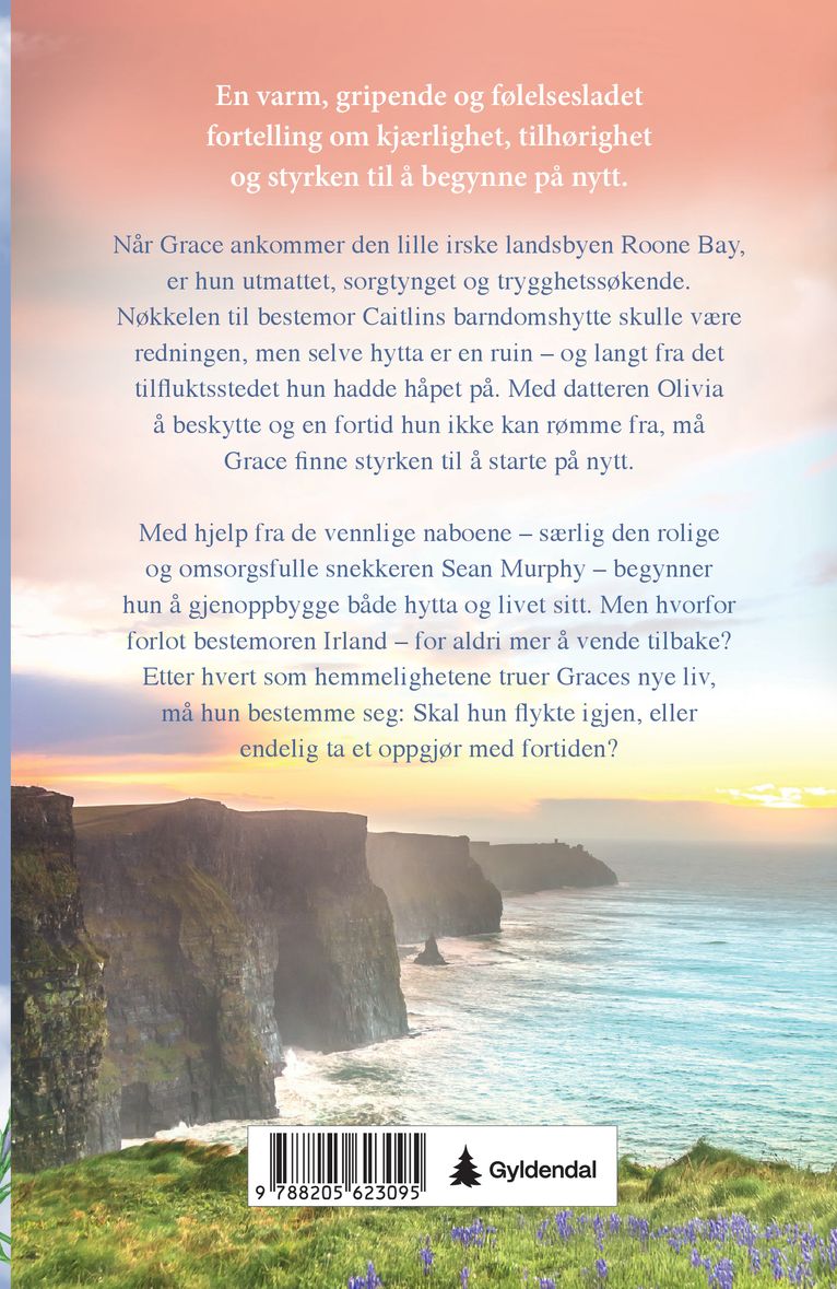 Den irske nøkkelen