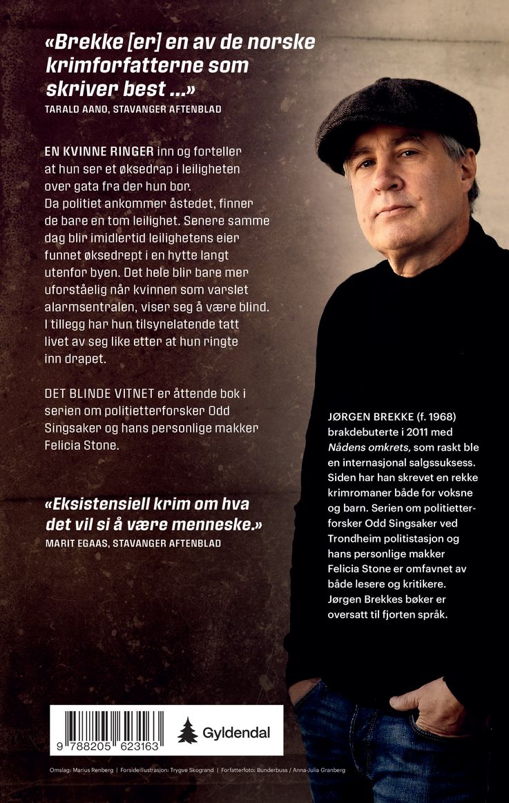 Det blinde vitnet