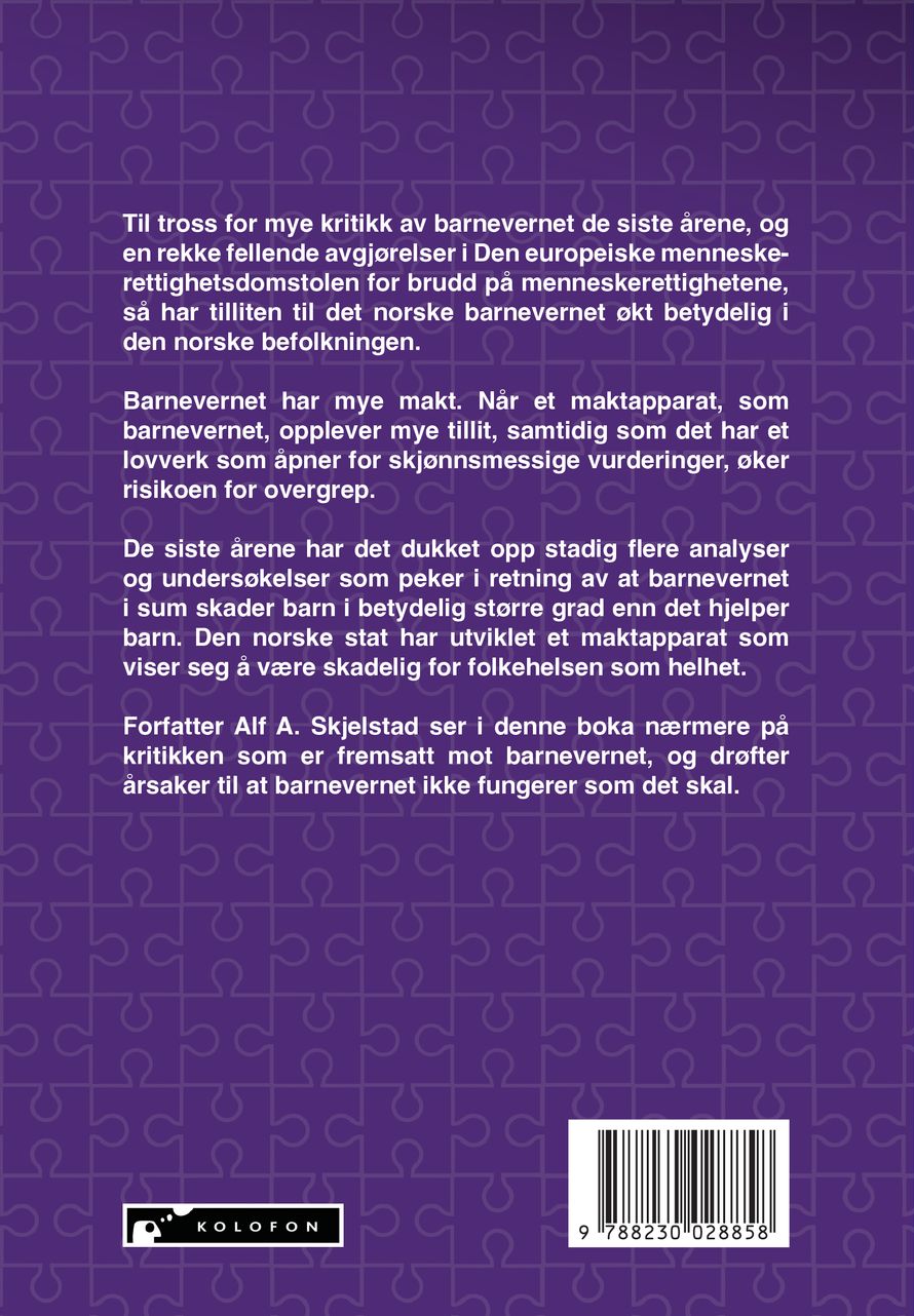 Det norske barnevernet