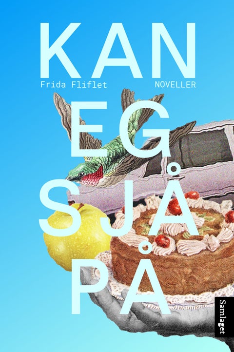 Kan eg sjå på - noveller