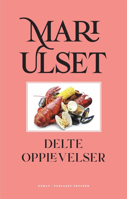 Delte opplevelser - roman