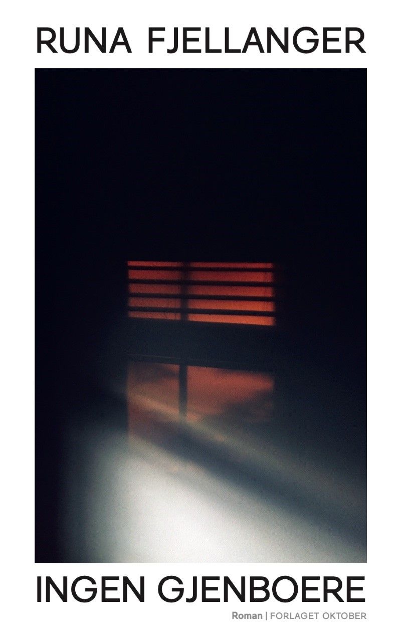 Ingen gjenboere - roman