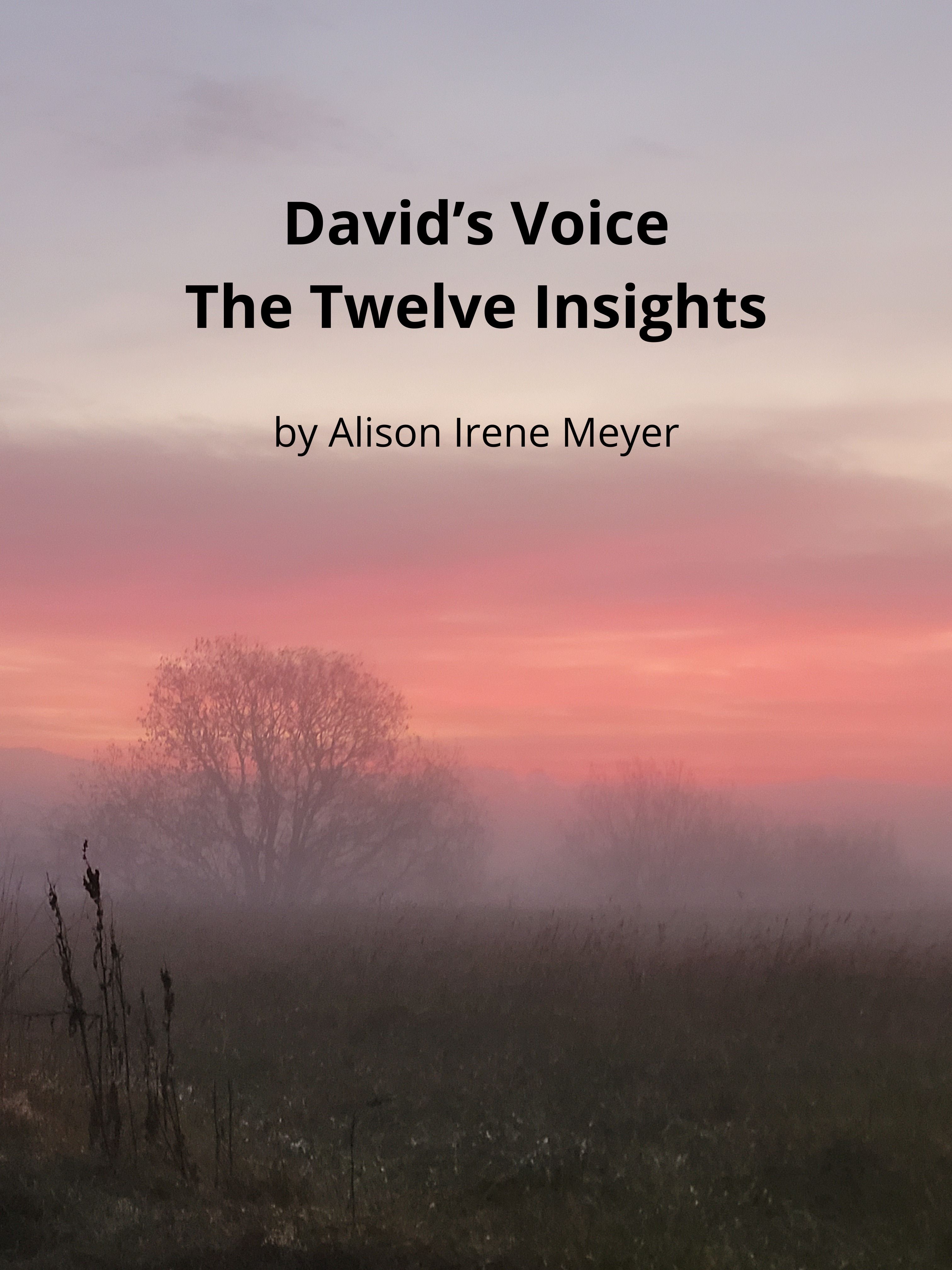 David's voice - the twelve insights