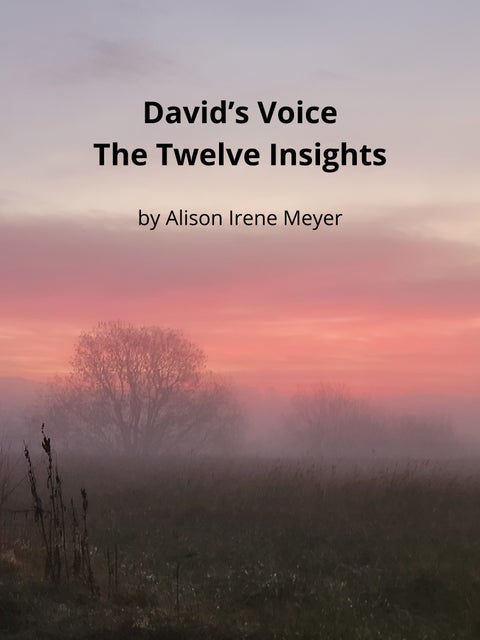 David's voice - the twelve insights