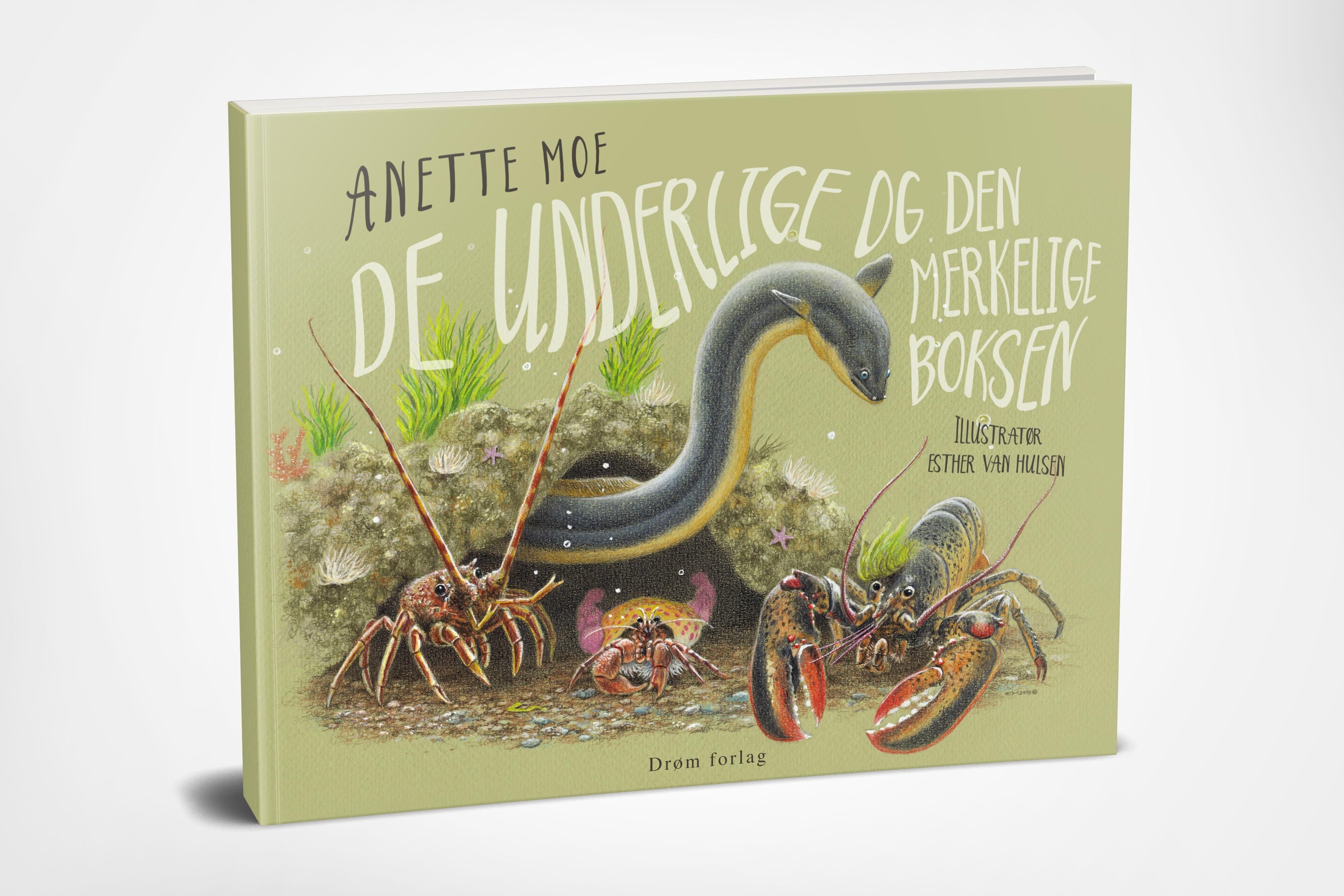 De underlige og den merkelige boksen