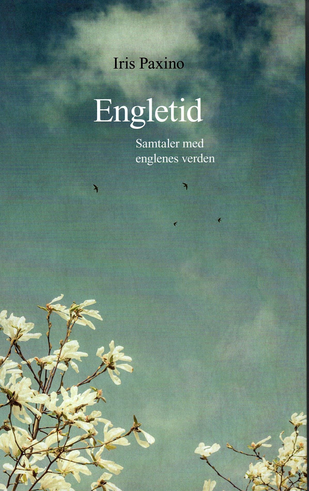 Engletid - samtaler med englenes verden