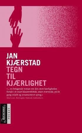 Tegn til kjærlighet - roman