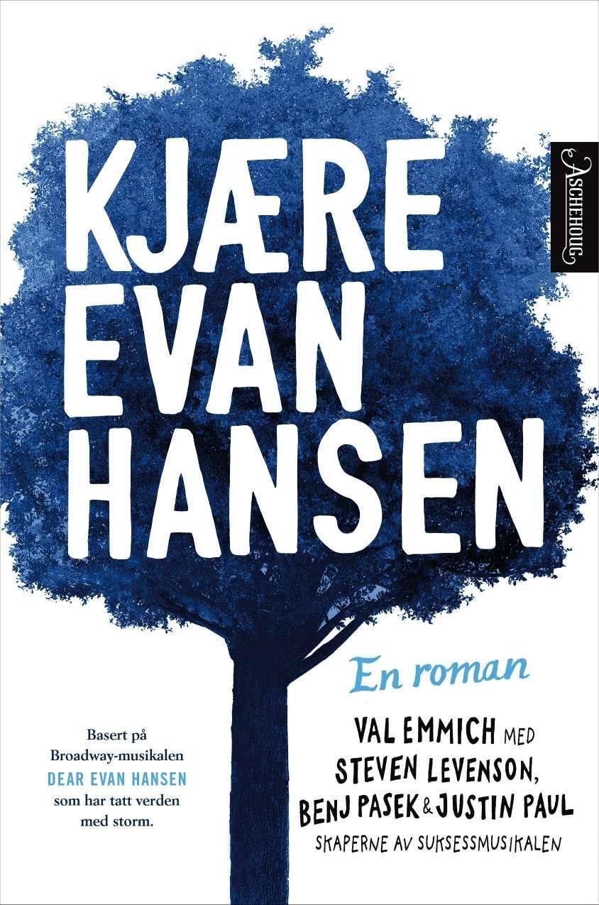 Kjære Evan Hansen - en roman