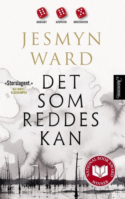 Det som reddes kan - en roman