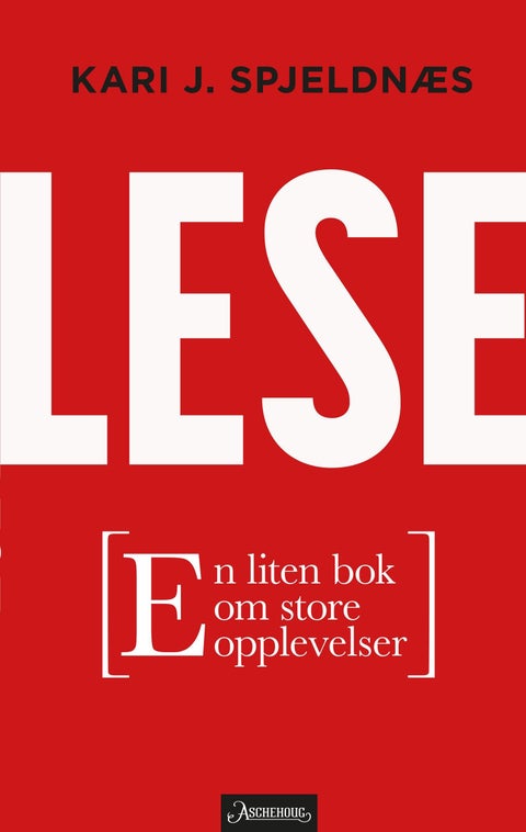 Lese - en liten bok om store opplevelser