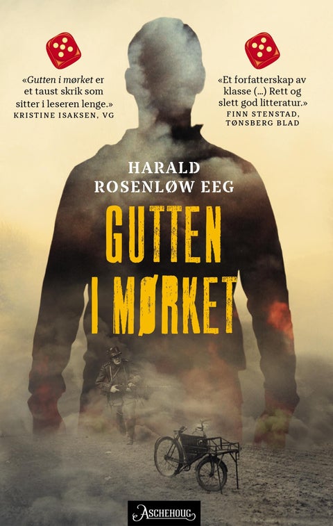 Gutten i mørket - roman