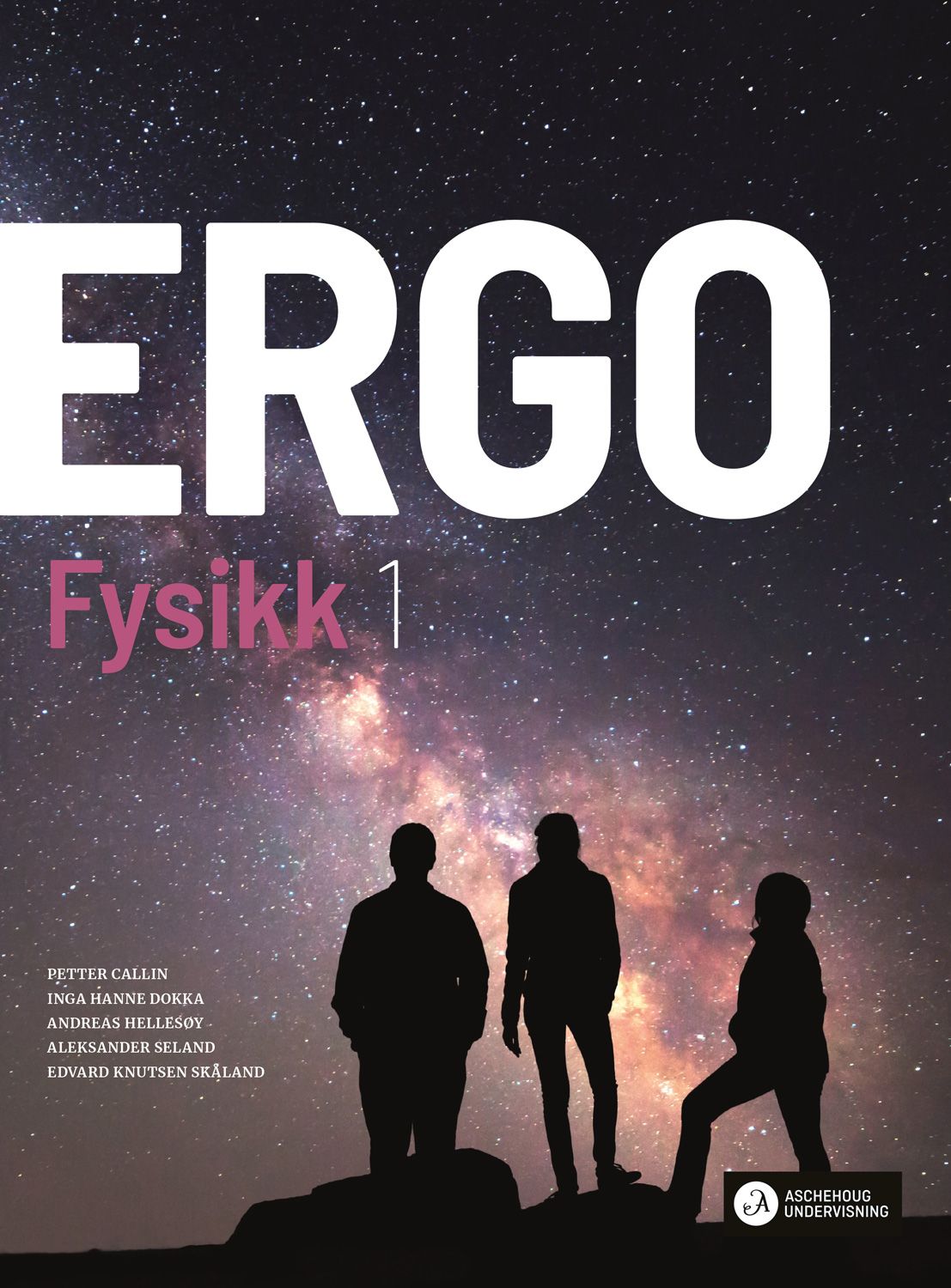 Ergo Fysikk 1 vg2 Unibok