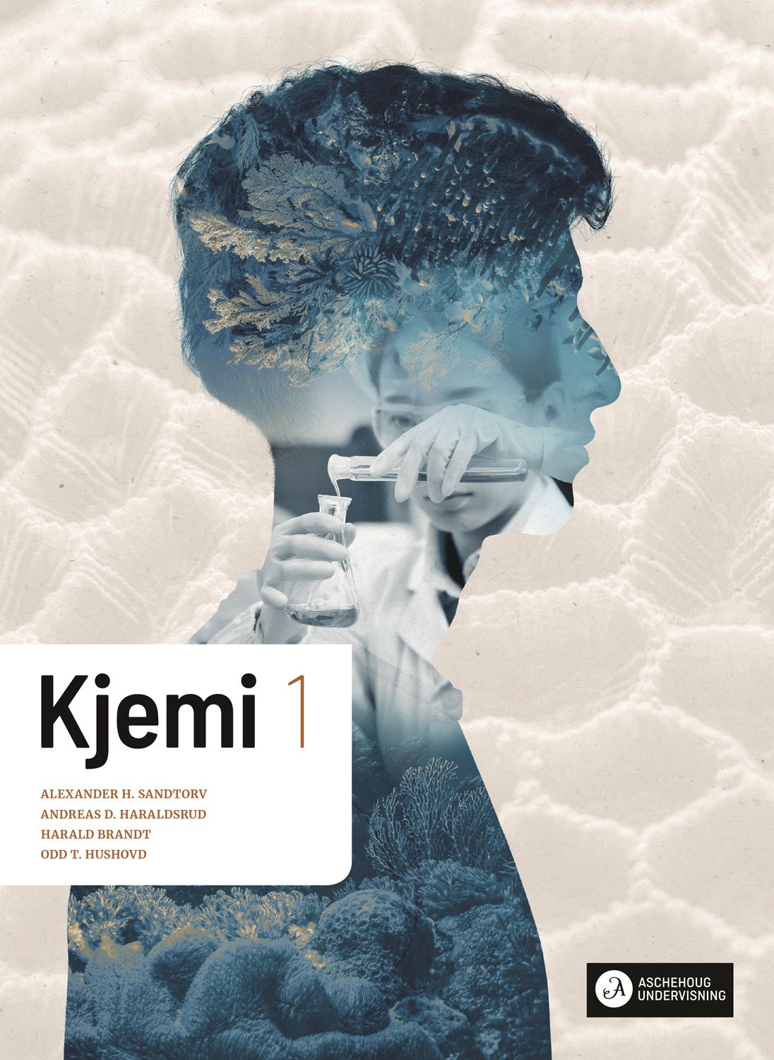 Kjemi 1 vg2 Unibok - Grunnbok : programfaget kjemi for ST