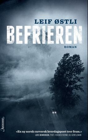 Befrieren - roman