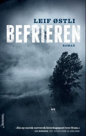 Befrieren - roman