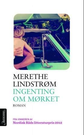 Ingenting om mørket - roman