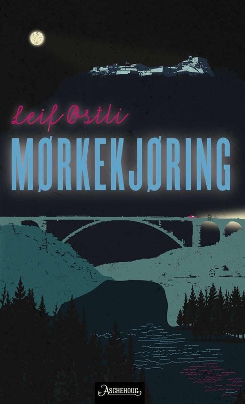 Mørkekjøring - roman