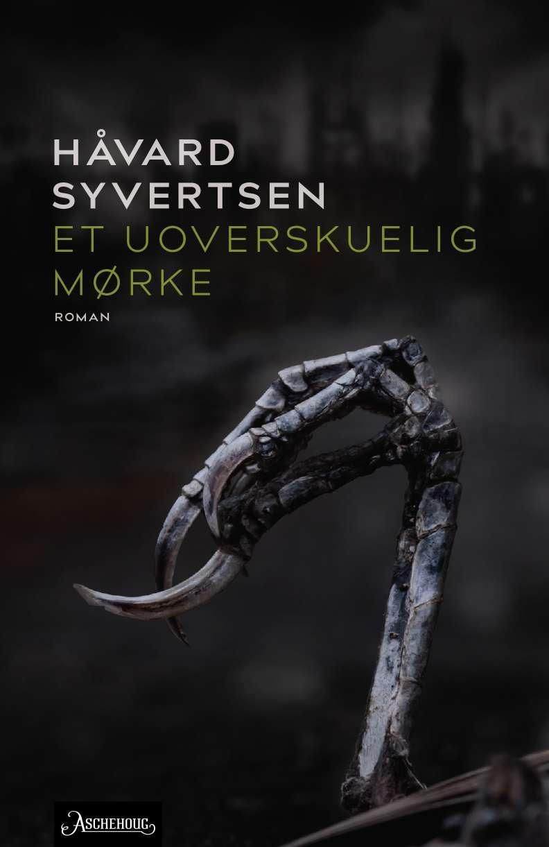 Et uoverskuelig mørke - roman