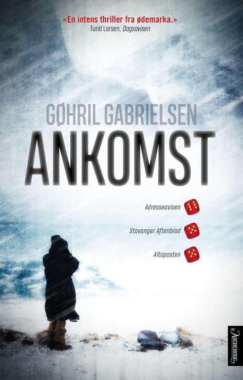 Ankomst - roman