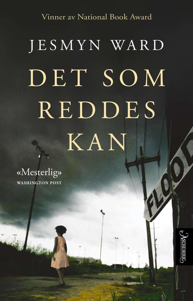 Det som reddes kan - en roman