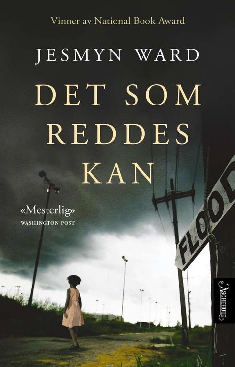 Det som reddes kan - en roman
